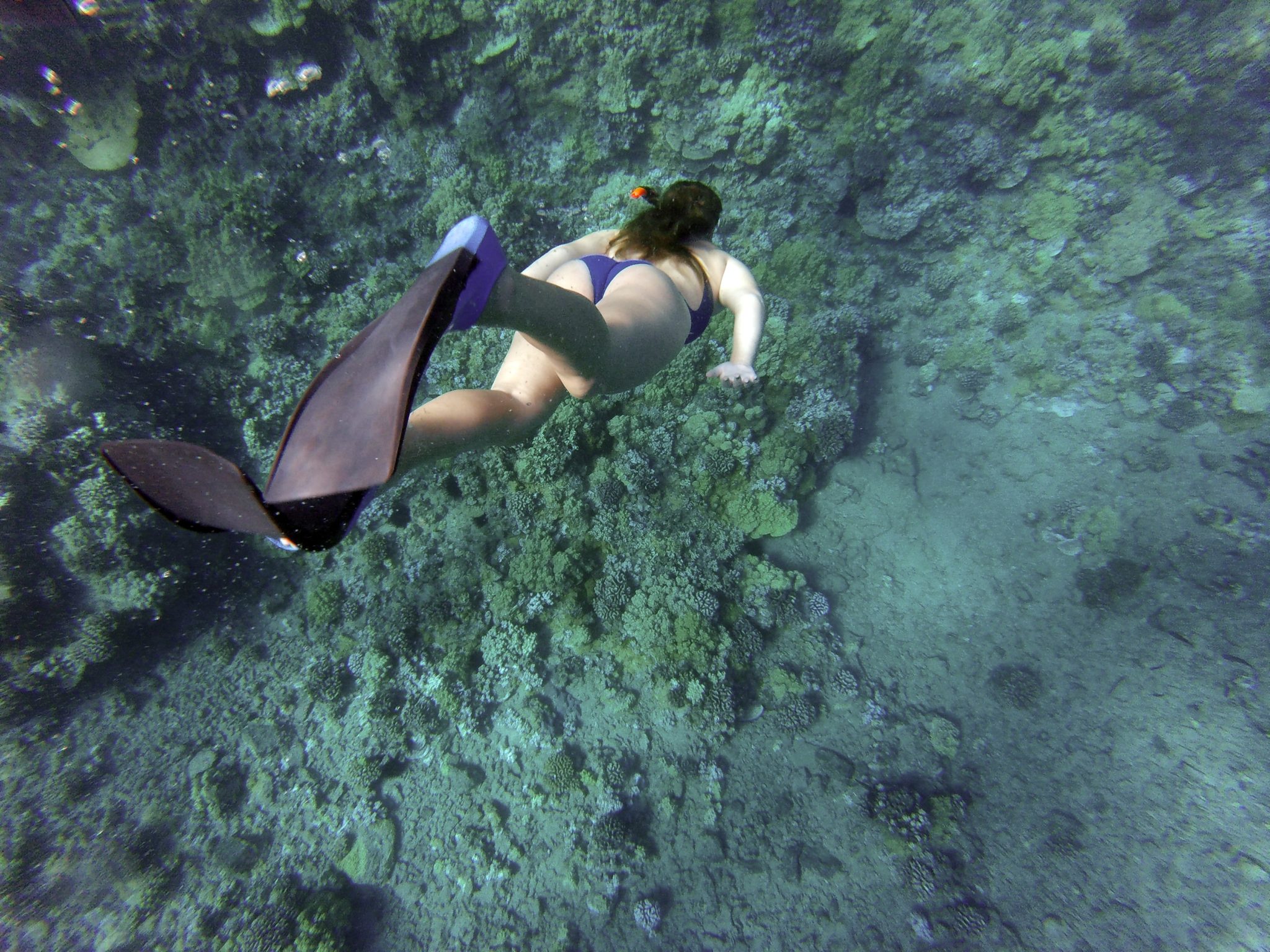 Free Diving