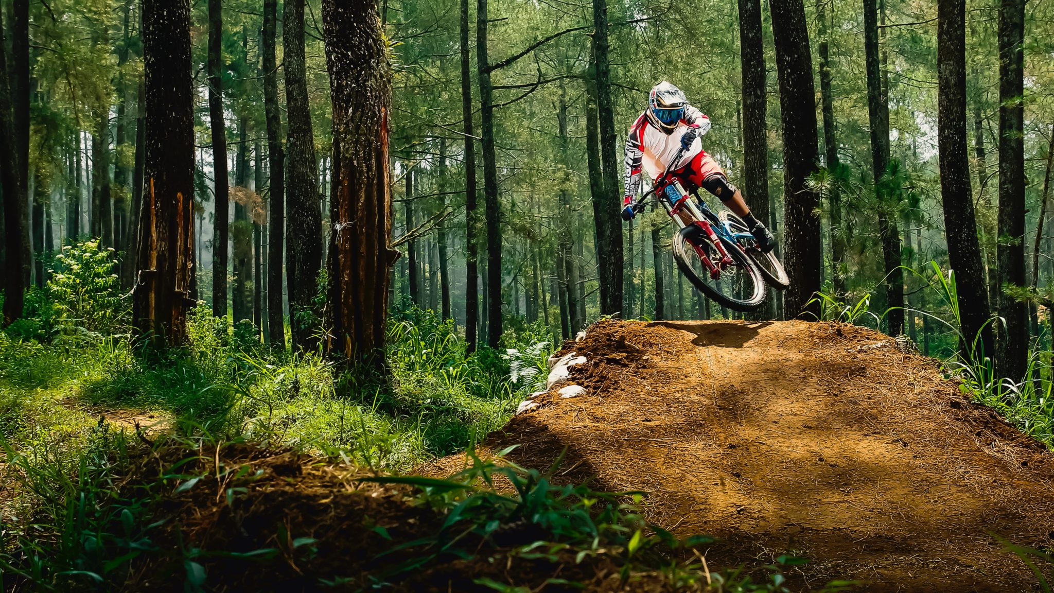 mountain bike