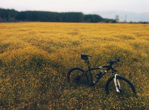 mountain bike