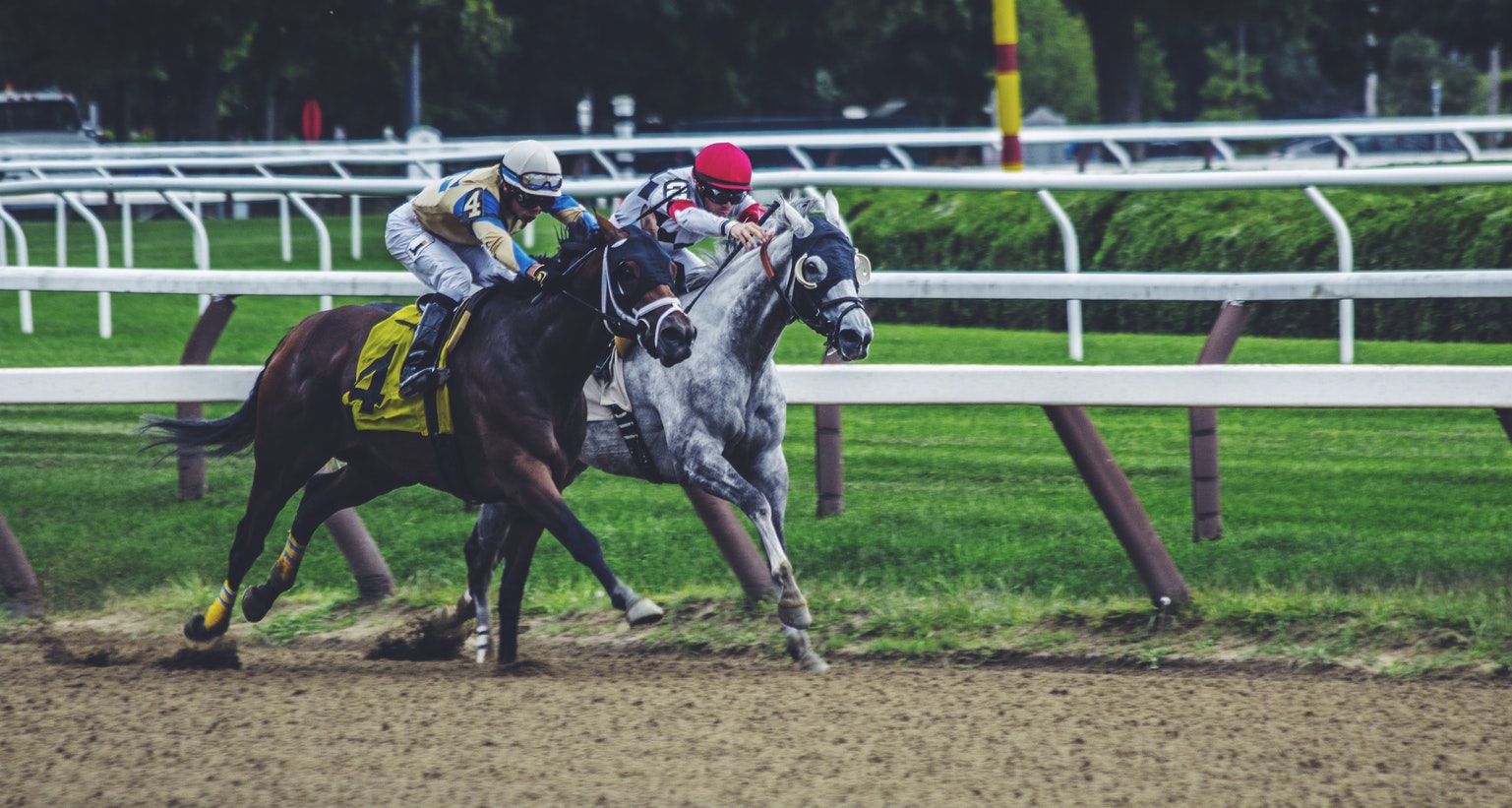 Preakness Stakes