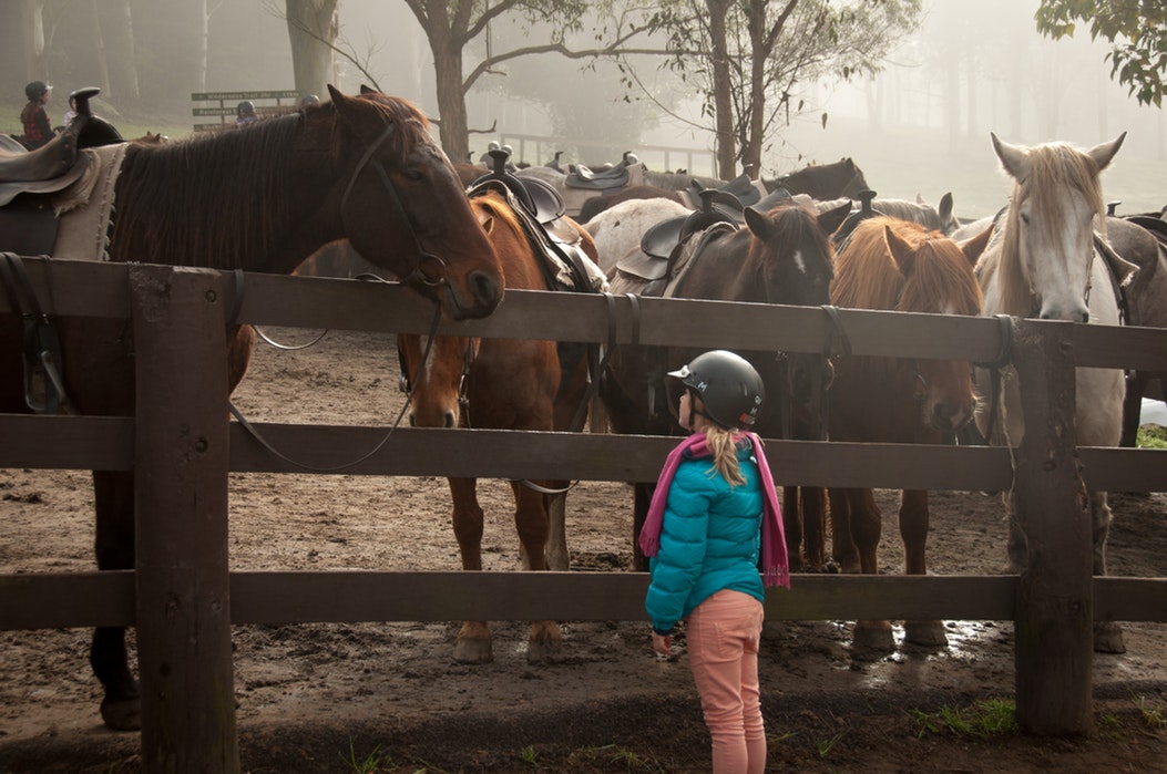 horse racing kid