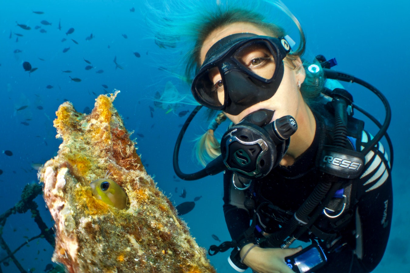 scuba diving with fish