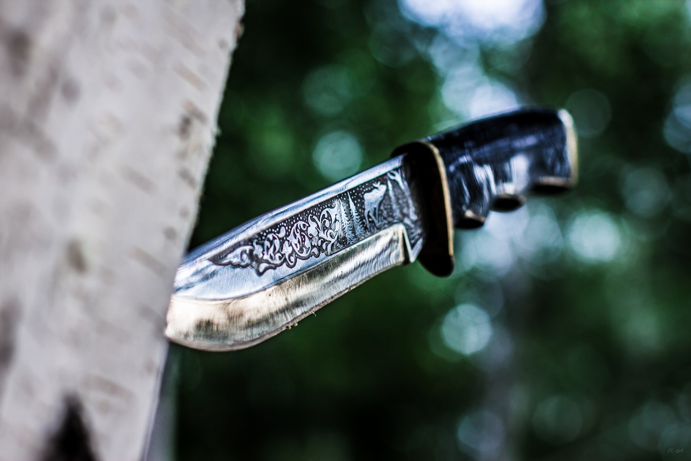 bayonet in tree