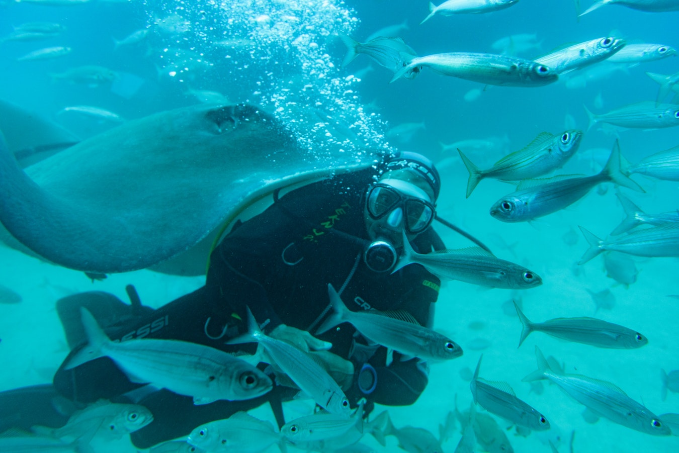 scuba diving with little fish