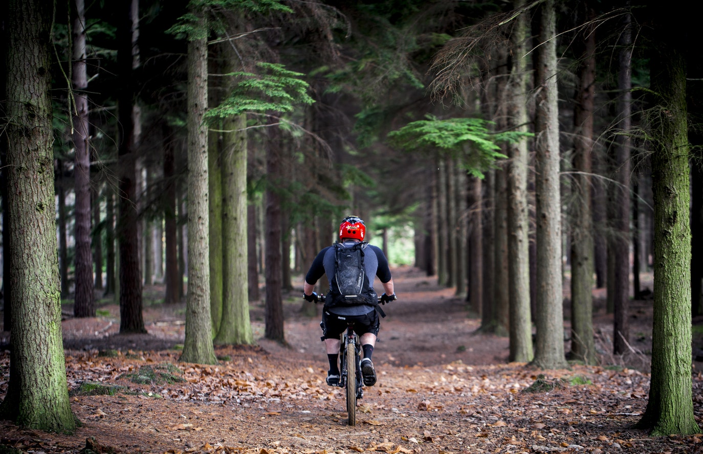 mtb new forest