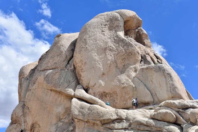 joshua tree national park climbing rock