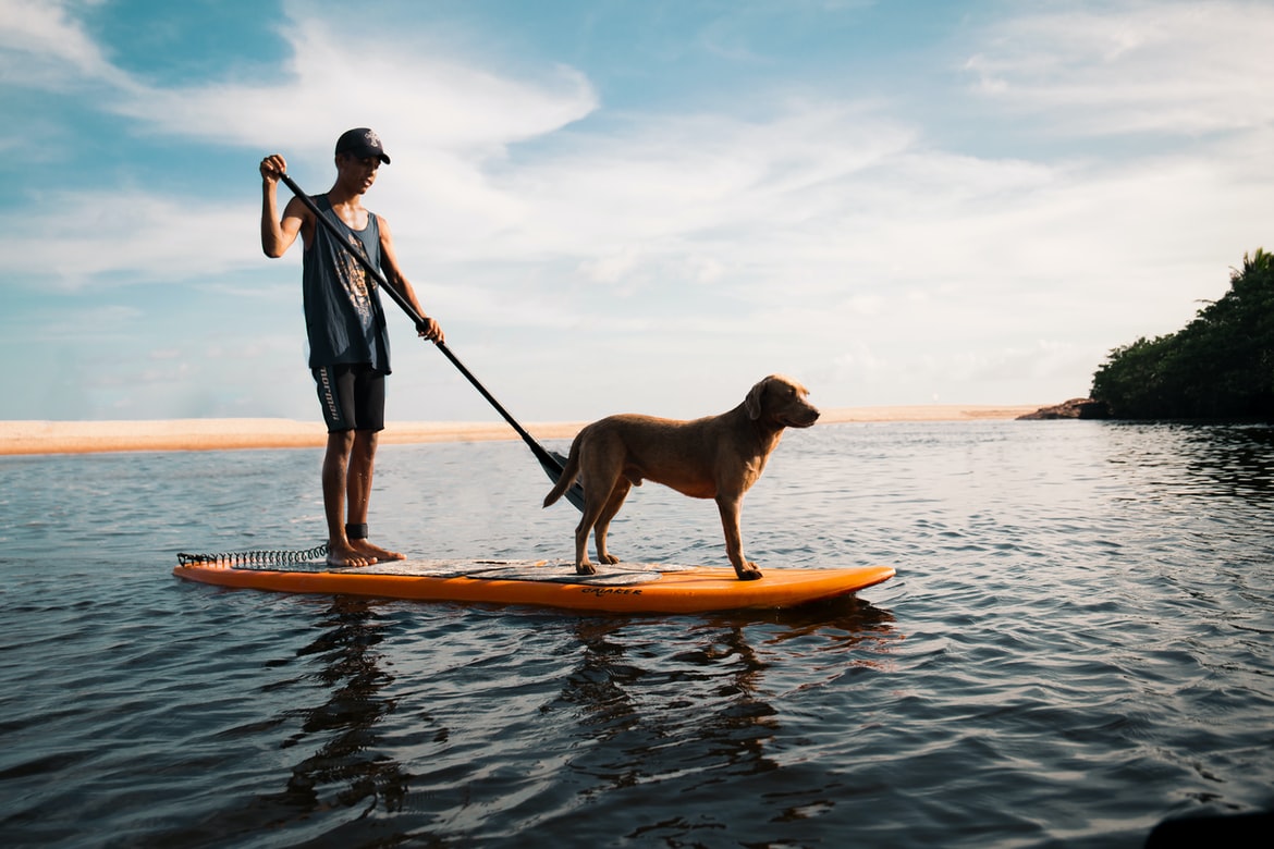 paddle boarding with dog