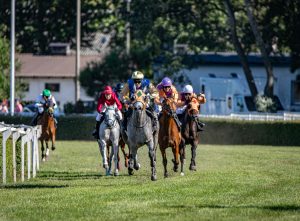horse racing on grass